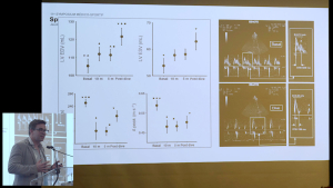 La plong&eacute;e sous-marine: loisir ou sport extr&ecirc;me?