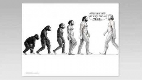 Le pied dans l’évolution