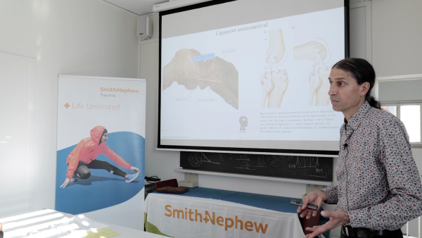 Anatomie des ménisques