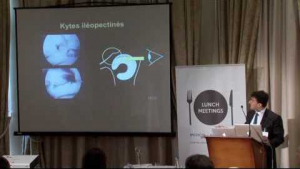 Innovation dans les traitements de douleurs autour de la hanche: de l'arthroscopie &agrave; la proth&egrave;se