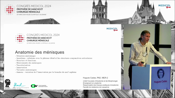 Anatomie des ménisques